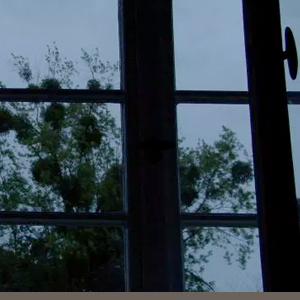 Four Parts of a Folding Screen