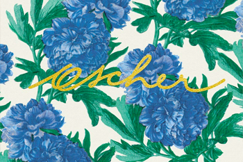 Ascher: The Mad Silkman